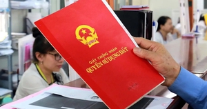 Ông Bùi Quang Dũng làm Chủ tịch Bamboo Airways- Ảnh 2.