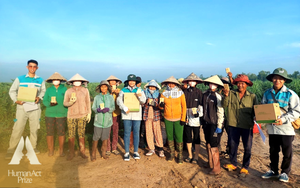 Thả sinh vật chưa đến 1mm ra ruộng mía: Đột phá ý tưởng đưa mía Việt chinh phục Mỹ, EU