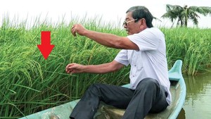 Có 1 thứ kỳ lạ xuất hiện ở nơi tạo ra sản vật Việt Nam ngon nhất TG: 