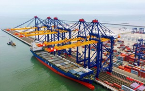 Tập đo&agrave;n vận tải top đầu thế giới muốn x&acirc;y cảng biển tại Việt Nam