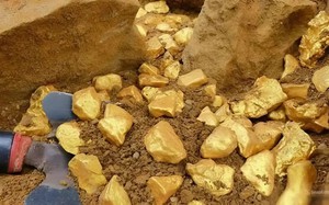 Mang "c&agrave;nh c&acirc;y" đi thẩm định, n&ocirc;ng phụ khẳng định do người ăn xin tặng: Chuy&ecirc;n gia qu&aacute;t lớn 'C&ocirc; n&oacute;i dối!'- Ảnh 5.