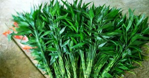 SỐC: &Ocirc; nhiễm kh&ocirc;ng kh&iacute; khiến người d&acirc;n H&agrave; Nội chịu tổn hại sức khỏe tương đương h&uacute;t thụ động 2 điếu thuốc l&aacute; mỗi ng&agrave;y - Ảnh 5.