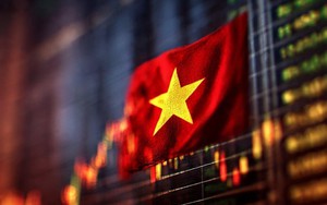 Một lĩnh vực tại Việt Nam lên như diều gặp gió, số lượng nhà đầu tư tăng mạnh, tương đương 11% dân số