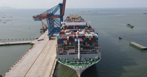 CEO Vòng Lý Sáng đột ngột qua đời sau tai nạn ở biển Kê Gà: Sáng lập công ty công nghệ từ cảm hứng chống buôn bán động vật hoang dã- Ảnh 4.