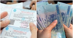 "C&uacute; đ&uacute;p" ngoạn mục của &ocirc;ng lớn bảo hiểm phi nh&acirc;n thọ h&agrave;ng đầu Việt Nam - Ảnh 6.