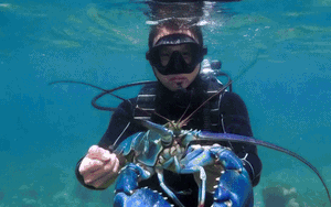 Thủ đô Tehran chìm trong khủng hoảng nước - Ảnh 3.