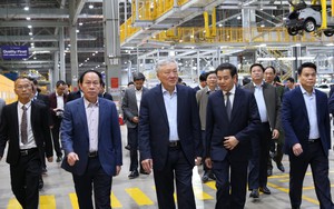 Trồng cỏ c&acirc;y, một doanh nghiệp t&igrave;m ra "long mạch" chinh phục th&agrave;nh c&ocirc;ng thị trường hơn 10 tỷ USD ở Việt Nam - Ảnh 2.