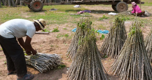 Kh&ocirc;ng phải Trung Quốc hay Ấn Độ, một kh&aacute;ch 'ruột' của dầu Nga vừa giảm mua 3 triệu th&ugrave;ng v&igrave; vướng lệnh trừng phạt, sốt sắng t&igrave;m tới c&aacute;c nh&agrave; cung cấp kh&aacute;c - Ảnh 3.