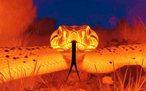 Thảm họa lũ lụt Đông Nam Á qua 25 góc nhìn - Ảnh 10.