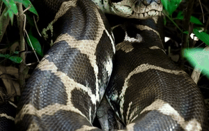 Thủ đô Tehran chìm trong khủng hoảng nước - Ảnh 7.