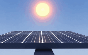 Lội suối, băng rừng bảo vệ nguồn gien qu&yacute; hiếm ở xứ Nghệ - Ảnh 8.