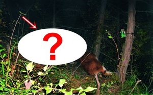 Vụ &aacute;n cậu b&eacute; 10 tuổi mất t&iacute;ch v&agrave; bị s&aacute;t hại được "giải m&atilde;" sau 18 năm: Kẻ thủ &aacute;c l&agrave; người kh&ocirc;ng ai ngờ tới - Ảnh 3.