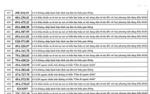 Gần 100 chủ xe vượt đ&egrave;n đỏ c&oacute; biển số sau nhanh ch&oacute;ng nộp phạt nguội theo Nghị định 168 - Ảnh 10.