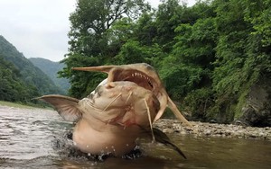 Gi&uacute;p việc tối n&agrave;o cũng th&igrave; thầm với bố chồng trong bếp, con d&acirc;u nghe l&eacute;n liền chết sững v&igrave; đoạn đối thoại - Ảnh 3.