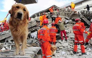 Càn Long băng hà , Gia Khánh phái Miên Ức đi thủ lăng: Lý do gì ẩn chứa? - Ảnh 5.