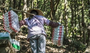 Trung Quốc Siết Chặt Quản Lý Ngành Robot Hình Nhân Trước Nguy Cơ 