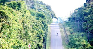 GDP quốc gia Đ&ocirc;ng Nam &Aacute; tăng nhanh nhất kể từ năm 2021: Loạt ng&agrave;nh chủ c&ugrave;ng nhau k&eacute;o nền kinh tế - Ảnh 3.