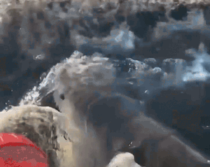 Cho con dâu 10 triệu/tháng thuê giúp việc bế cháu, mẹ chồng U60 chết điếng khi thấy mặt của “bảo mẫu” - Ảnh 5.