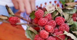 Kh&ocirc;ng cần mua v&agrave;ng ng&agrave;y v&iacute;a Thần T&agrave;i, l&agrave;m 3 việc n&agrave;y cũng gi&uacute;p rước lộc về nh&agrave;, bu&ocirc;n may b&aacute;n đắt trong năm mới - Ảnh 4.