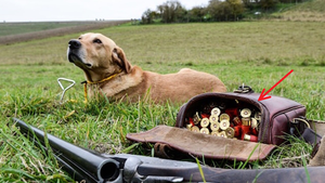 Tử vi ng&agrave;y mới 14/3: Top 3 con gi&aacute;p t&agrave;i lộc rực rỡ, c&ocirc;ng việc thăng hoa - Ảnh 2.