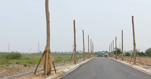 U50 nh&atilde;n nh&atilde; kiếm hơn 5,6 tỷ đồng/năm nhờ nguồn thu nhập thụ động: &lsquo;Thứ bị bỏ hoang trở th&agrave;nh nguồn tiền gi&uacute;p t&ocirc;i nghỉ hưu sớm&rsquo; - Ảnh 5.