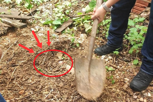 “Vàng áp sát mốc 100 triệu/lượng, nên mua hay bán chốt lời”, ChatGPT và Grok đưa lời khuyên thông minh - Ảnh 3.