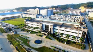 DN Việt bán đồ ăn lớn nhất nhì cho người Mỹ: thu về vài trăm triệu USD, giá trị sổ sách 430.000 đồng/cp, EPS 70.000 đồng, nhiều năm liền cổ tức 100% - Ảnh 5.