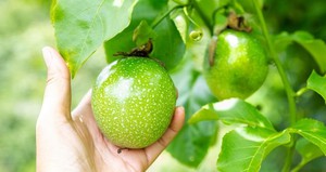 Giá vàng miếng SJC chinh phục đỉnh 107 triệu đồng/lượng sau phiên "sập" đến hoảng loạn cách đây 1 tuần - Ảnh 3.