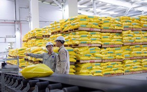 Sau mở rộng địa giới, TP HCM có thể sở hữu bao nhiêu sân bay? - Ảnh 4.