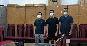 Nhóm lợn rừng khai gì khi bị bắt tại Hà Nội - Ảnh 2.