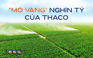 "Gã khổng lồ" Coca-Cola tung chiến dịch hiếm có toàn cầu: Mang 2.000 tỷ lít "vàng lỏng" cho cộng đồng - Ảnh 5.