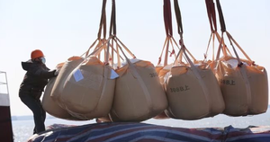 Việt Nam trồng được một loại ‘sản vật’ đắt đỏ thứ 3 thế giới: Mỹ, Hà Lan liên tục săn lùng, chỉ có rất ít quốc gia sở hữu - Ảnh 3.