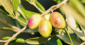 Giá vàng "rơi tự do" 8 triệu đồng/lượng rồi hồi sức, tuần này nhà đầu tư vẫn chưa hết lạc quan - Ảnh 6.