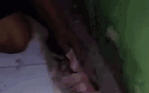 Khi trà đá Việt "rơi" vào tay người Nhật sẽ thế nào: Cái kết khiến ai nấy "mắt chữ A miệng chữ O" - Ảnh 9.