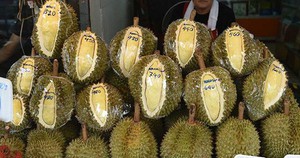 M&ocirc;i giới ph&iacute;a Bắc đồng loạt Nam tiến tiết lộ "cơn s&oacute;ng mới": Người gi&agrave;u H&agrave; Nội đang r&aacute;o riết săn l&ugrave;ng bất động sản - Ảnh 3.