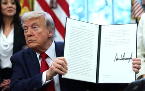 Độc đáo những cây nấm cũng có thể tạo ra điện, bước tiến cho năng lượng xanh
 - Ảnh 1.