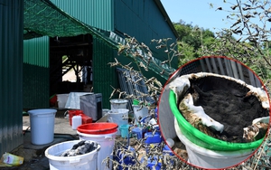 Sai phạm tại dự án cơ sở 2 BV Bạch Mai- Việt Đức: Bộ Y tế bị yêu cầu bồi thường hơn 354 tỷ đồng - Ảnh 3.