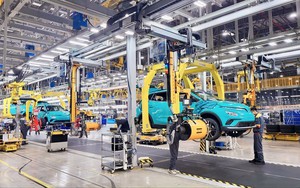 "Giấy thông hành" quan trọng cho phép một mặt hàng của Việt Nam bán với giá cao nhất trên thị trường Úc - Ảnh 7.