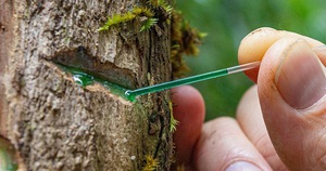 Âu Dương Phong cả đời tìm Hồng Thất Công khiêu chiến, nhưng hễ thấy 2 cao thủ này là né tránh: Vì sao? - Ảnh 5.