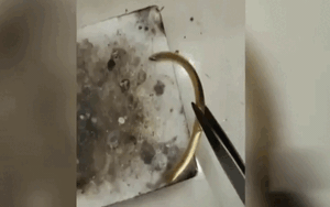 Vị tướng khiến Gia Cát Lượng đau đầu, Lưu Bị e ngại: Tư Mã Ý phải đối phó bằng kế "mượn dao giết người" - Ảnh 7.