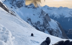 Xôn xao đoạn clip hơn 1 phút quay cảnh cuộc đối đầu giữa thú cưng AI và chó thật: Phản ứng đầy bất ngờ! - Ảnh 2.