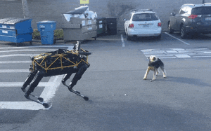 Cao thủ kỳ lạ của Kim Dung: Khiến Kim Luân Pháp Vương bị thương nặng, võ công mạnh ngang ngửa Quách Tĩnh - Ảnh 4.