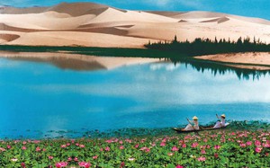 Kiều Phong 1 chưởng đánh Vô Danh Thần Tăng gãy xương mà không giết nổi con hổ: Kim Dung trả lời thế nào? - Ảnh 6.