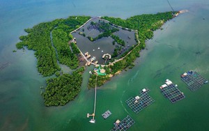 Dự &aacute;n cảng biển gần 15.000 tỷ đồng &igrave; ạch hơn 6 năm - Ảnh 3.