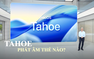 Điểm đến ngắm cá mập ngoạn mục nhất hành tinh - Ảnh 3.