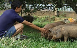 Ngôi làng "sạch nhất miền Bắc" khiến hội nghiện gọn gàng mê mẩn: Đẹp như tranh, vuông vức như bàn cờ, thẳng hàng "tuyệt đối"! - Ảnh 9.