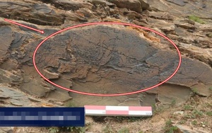 Nhà hàng đầu tiên tại Hà Nội giành Michelin Green Star: Chỉ phục vụ buổi tối, kèm yêu cầu đặt chỗ trước - Ảnh 5.