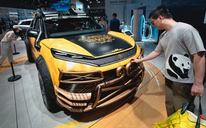 Trâu, bò ‘đi dạo’ trên đại lộ nghìn tỷ - Ảnh 13.