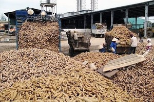 Đề nghị đề xuất quy trách nhiệm chậm, hủy chuyến bay tại Việt Nam - Ảnh 6.