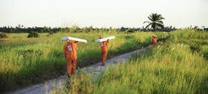 Việt Nam sẽ có thành phố toàn cầu, trình độ phát triển ngang tầm các đô thị lớn trên thế giới - Ảnh 8.